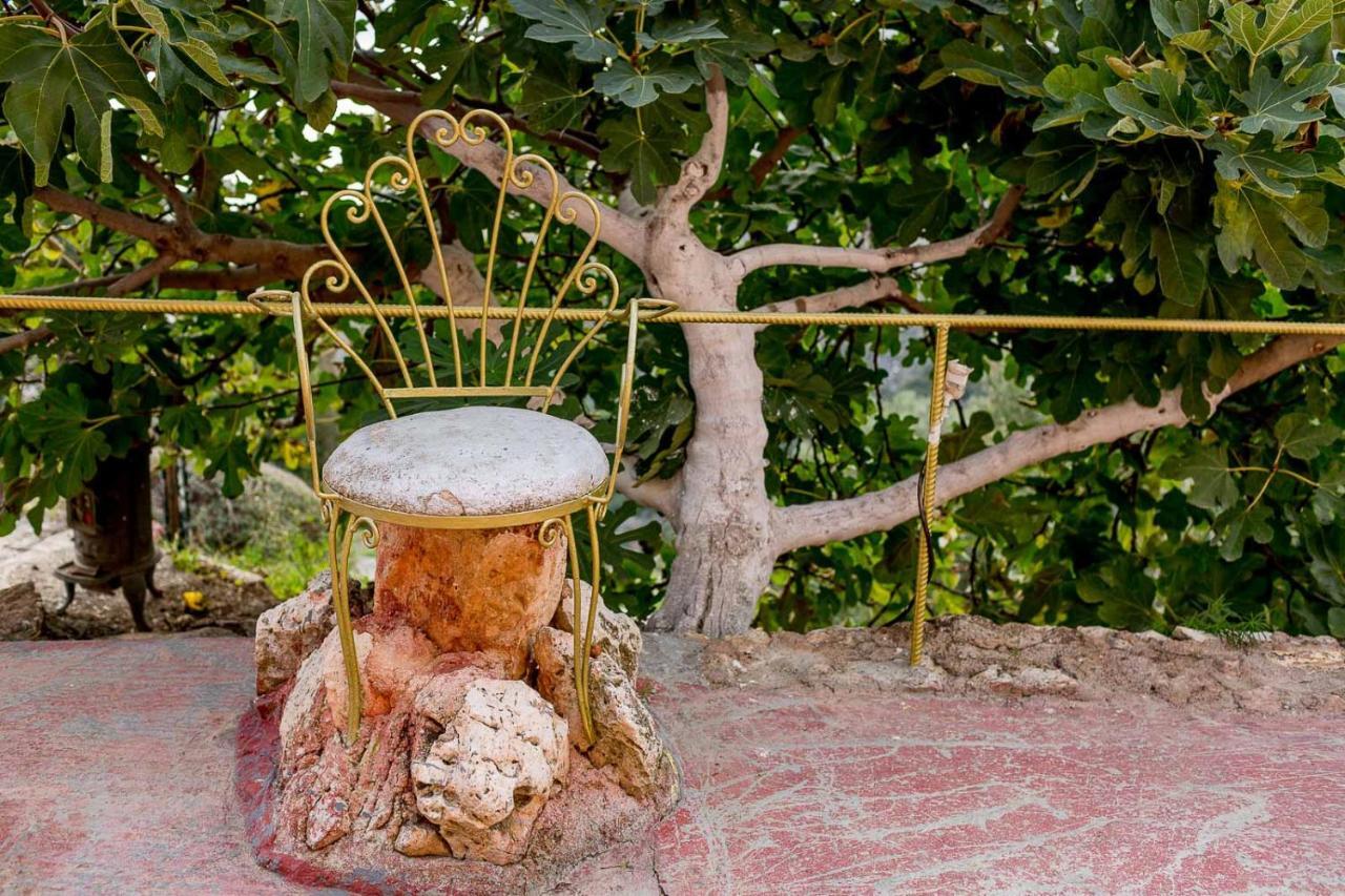 Art Studio Kefalonia Dhavgáta Extérieur photo